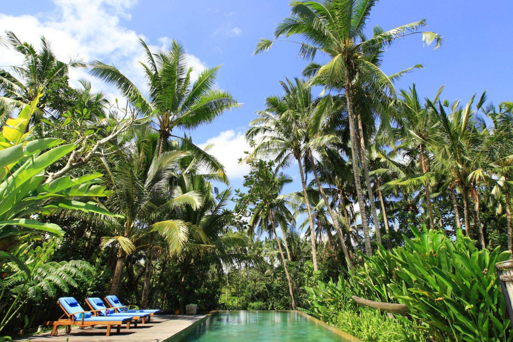 Swarapadi Villa Ubud Kültér fotó